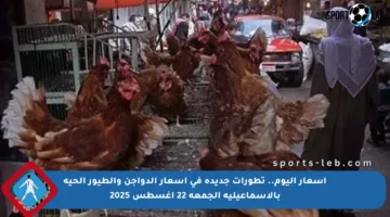 أسعار اليوم.. تطورات جديدة في أسعار الدواجن والطيور الحية بالإسماعيلية الجمعة 22 أغسطس 2025